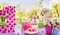 Smash the Cake Pet de Chloe