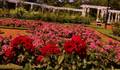 ROSEDAL de Buenos Aires