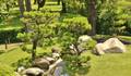 JARDIM JAPONÊS  de Argentina