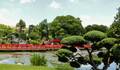 PONTE VERMELHA-JARDIM JAPONÊS  de ARGENTINA