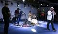 Shows de Ronne Green
