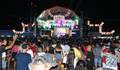 Shows de Búfalo do Marajó