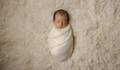  de Fotografia Newborn, Maternidade e Família