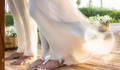 Elopement Wedding de ADAM E EDIONE