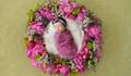  de Newborn