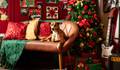 NATAL 2024 de Rocking around the Christmas tree