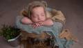 João Miguel de Ensaio Newborn