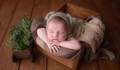 Joaquim de Ensaio Newborn