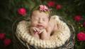 Ensaio Newborn de Newborn da Luísa, com 10 dias