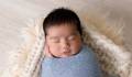  de Ensaio Newborn