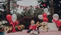 Smash the Cake de Francisco