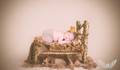 Ensaio Infantil de New Born