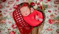 Valentina de 6 Dias