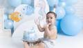  de SMASH THE CAKE