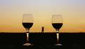 AMOR E VINHO de 