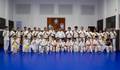 Karate de Kyokushin