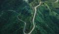  de WILD MOUNTAINS