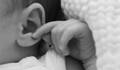  de Newborn session