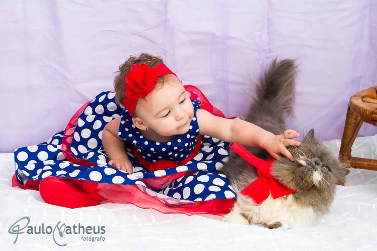 criança brinca com o gatinho durante ensaio infantil feito pelo fotógrafo Paulo Matheus