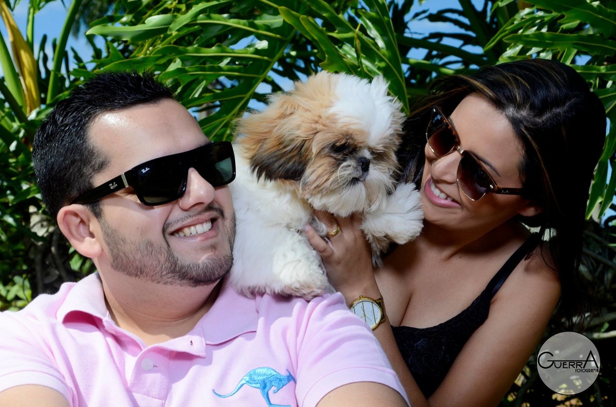 Imagem capa - Ensaio Pet - Carina + Vinicius + Mike - Guerra Fotografia - Petrópolis por Guerra Fotografia