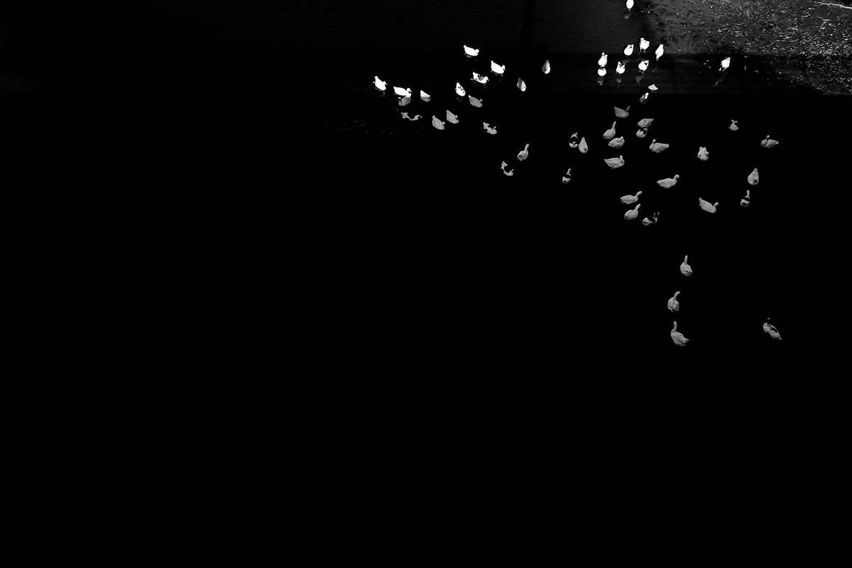 Imagem capa - 22 dias, 4 países, 2 continentes por Manu Rigoni