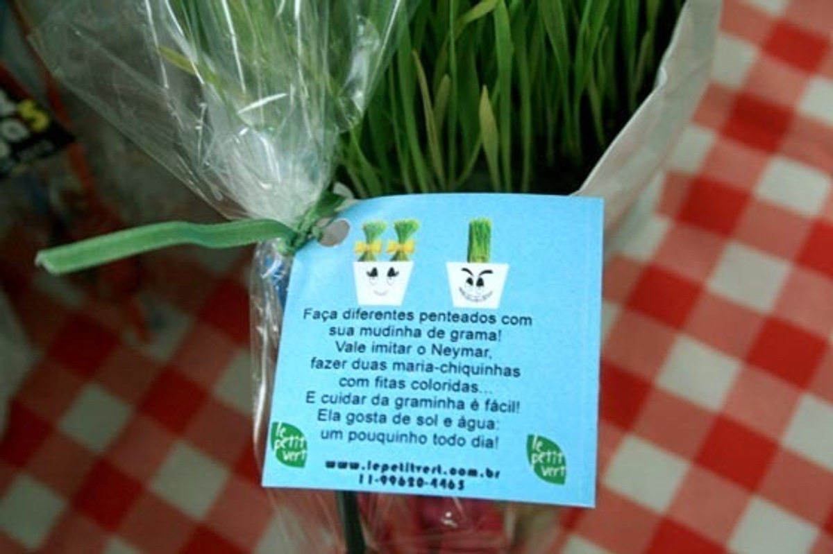 lembrancinha infantil ecologica ideias