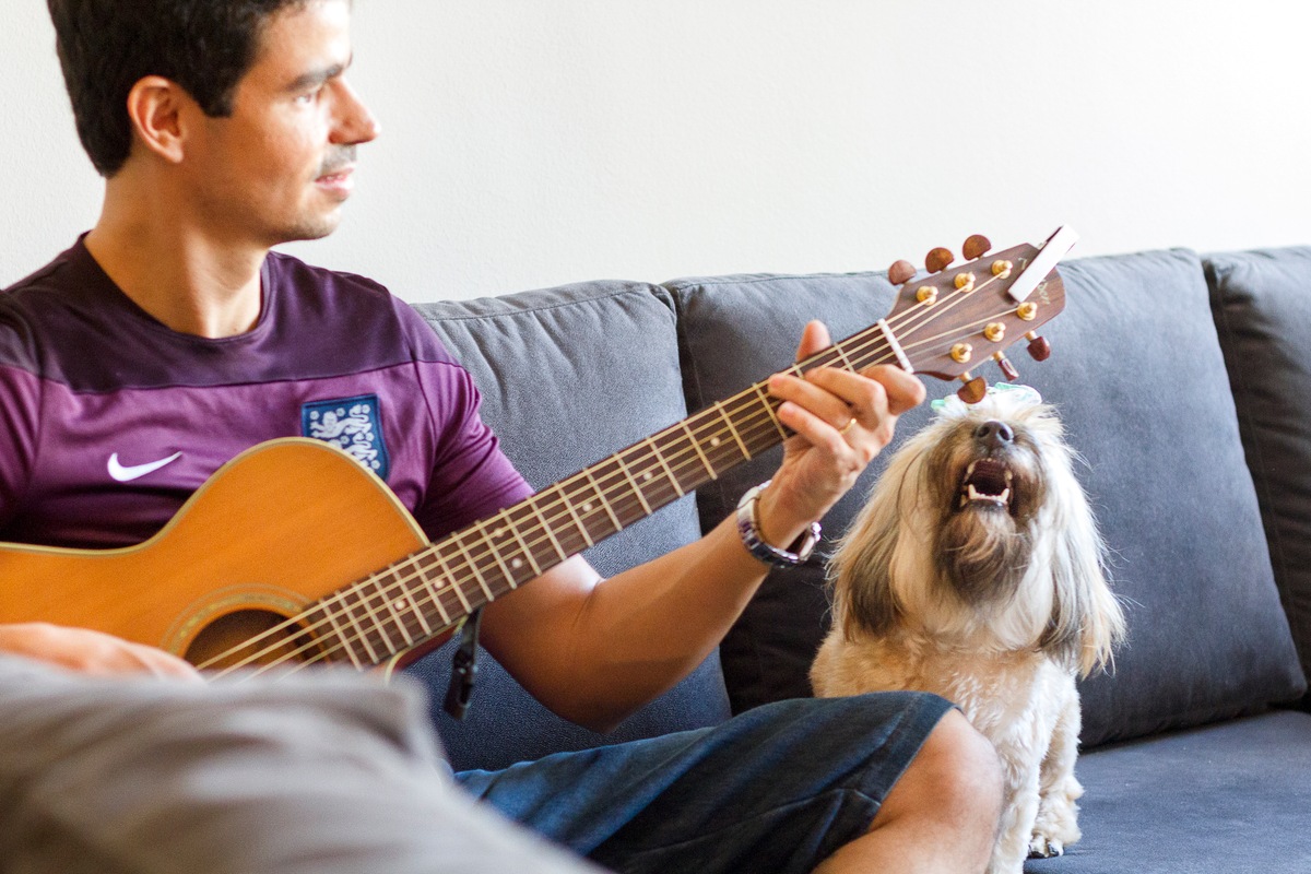 Imagem capa - Concurso Dia das Mães ♥ por Retratinhos Pet