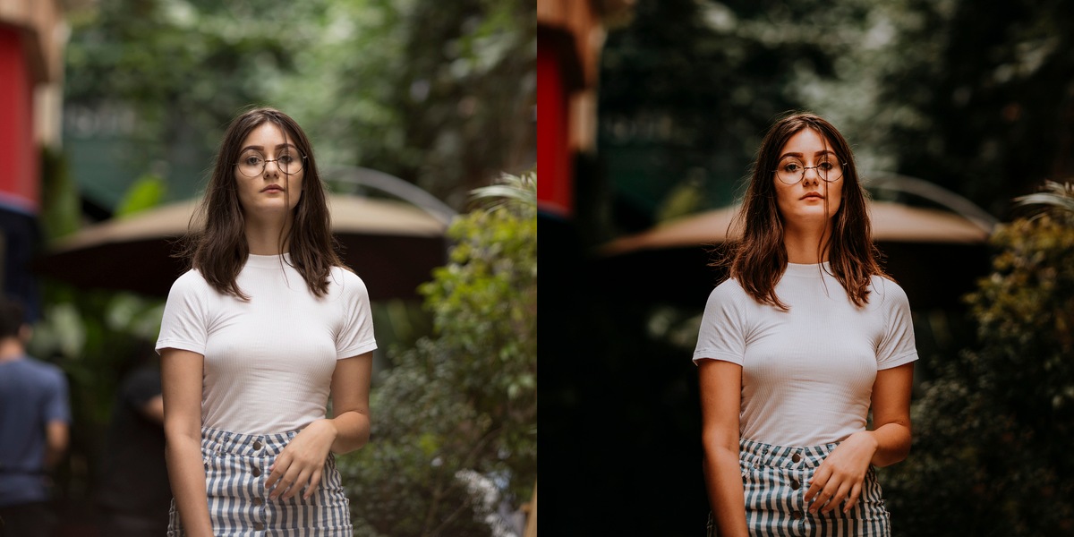 ANTES / DEPOIS - 06 - FOX PORTRAIT