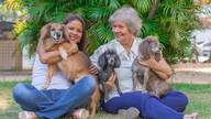 Ensaio Família de 