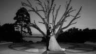 Casamento de Agatha & Marvel