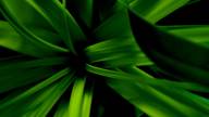 Verde de 