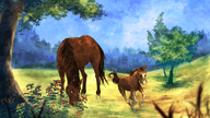 Pequena História de um Cavalo de 