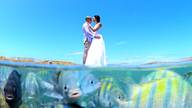 Casamento de Viviane e João Paulo