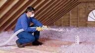 Crawl Space Cleaning de Attic Insulation