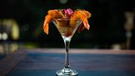 Enjoysushi Lounge Alta Gastronomia Oriental de 
