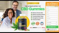Canna Bee CBD Gummies UK de Canna Bee CBD Gummies UK