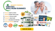 Green Mountain CBD Gummies de Green Mountain CBD Gummies