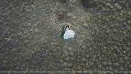 Trash the Dress de Luberta e Jhon