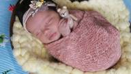 Fotografia de Récem Nascido de newborn