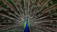 LIfe & Color Photography de Tus memorias ahora aqui y para siempre
