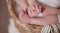 Ensaios de Newborn