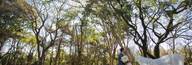 Casamento no Campo de Bruna e Fernando