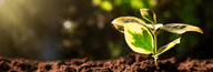 Gmaia de Ambiental