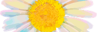  de 