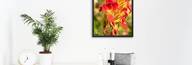 Quadro de Flores para Decoração de Flores Românticas