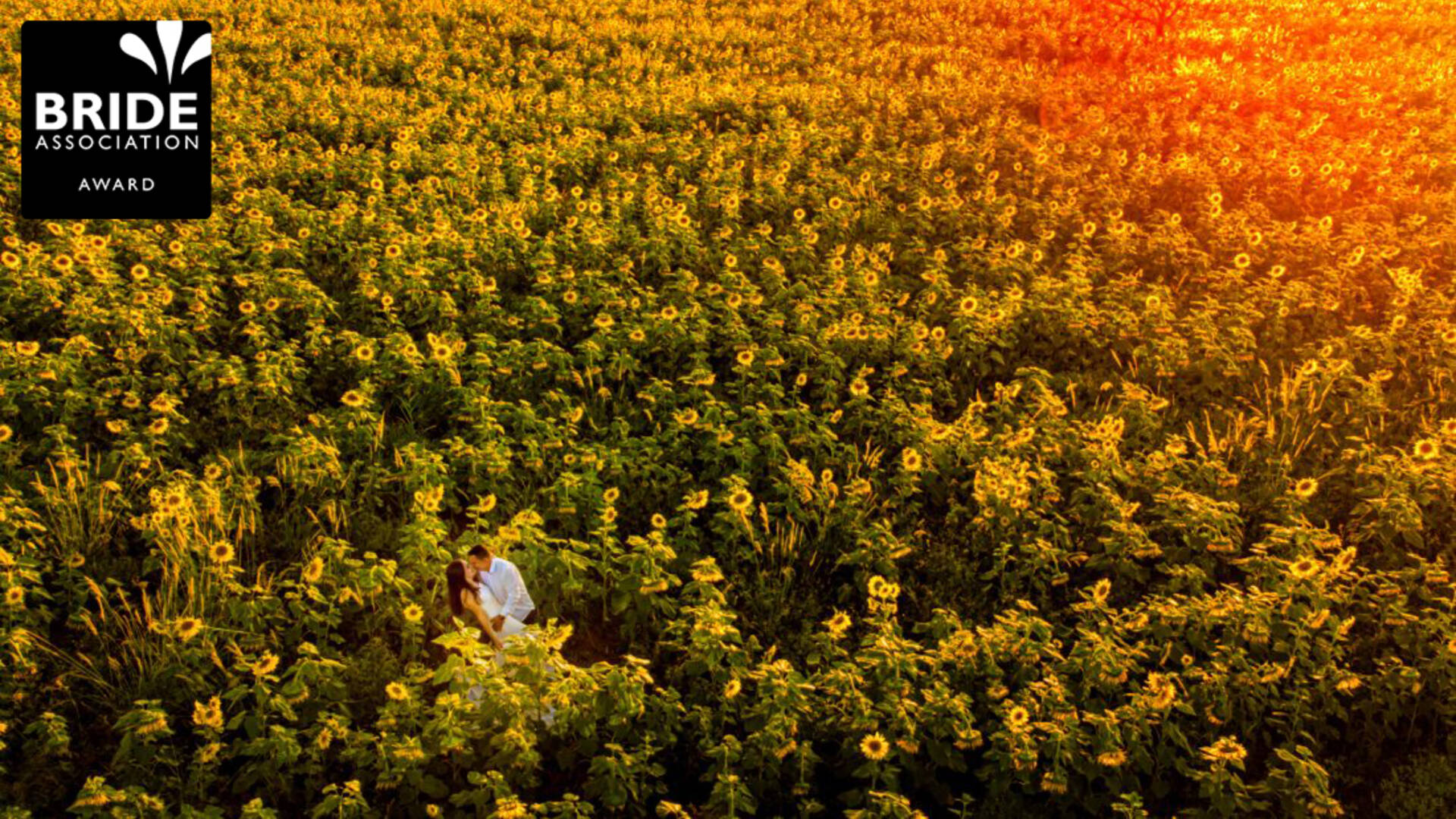 O Poder da Fotografia Impressa