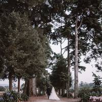Mariana & Luis