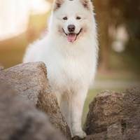 Geisa Gil de Souza Vieira