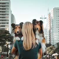 Dani | Humana da Aurora, Eve e Gloria