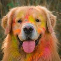 Bia | Humana do Simba e Abu